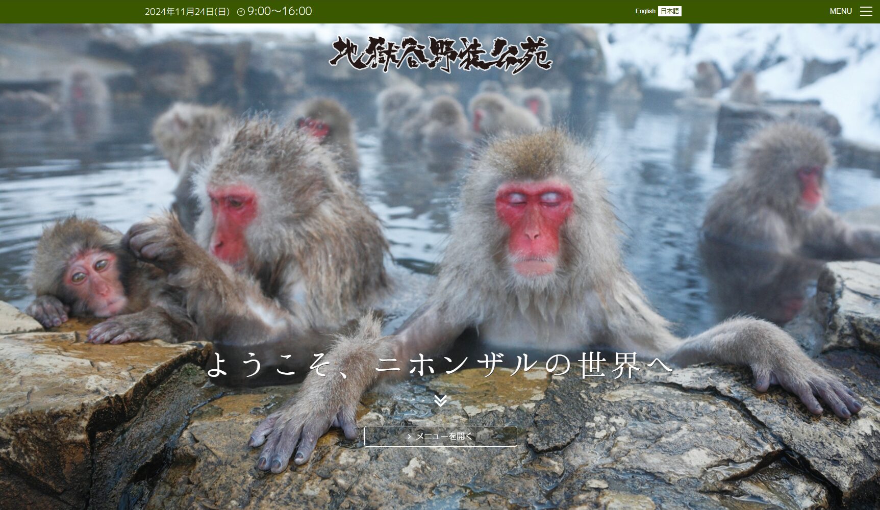 地獄谷野猿公苑